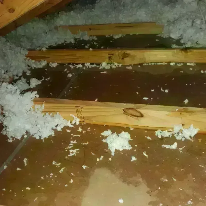 Attic Water Damage in Willacy County, TX